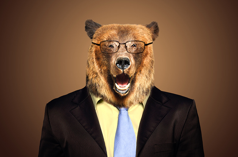 Grizzly Bear in a suit