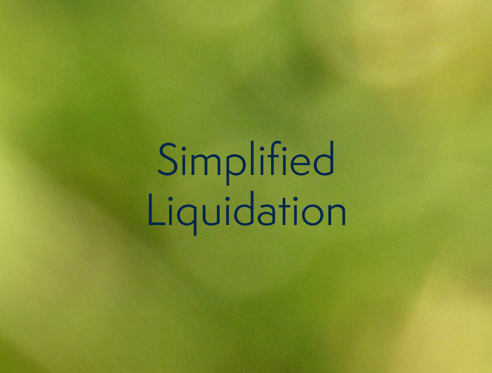 Simplified Liquidation Banner | SV Partners