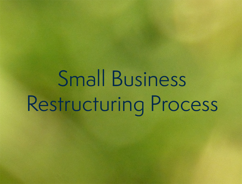 "Small Business Restructuring Process" | SV Partners
